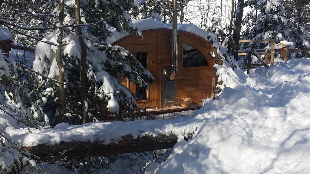 Willa Gusia, Apartamenty Закопане Екстериор снимка